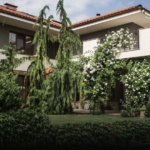 Landscaping services near me