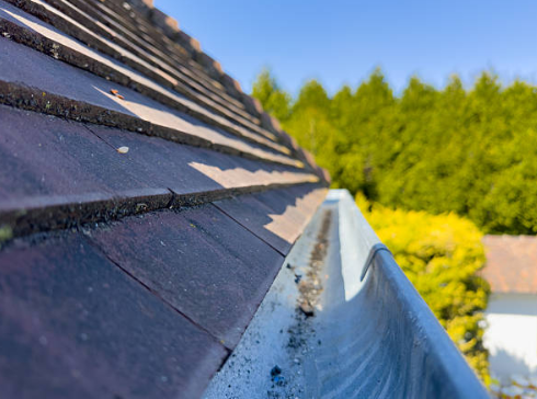 Commercial Gutter Cleaning