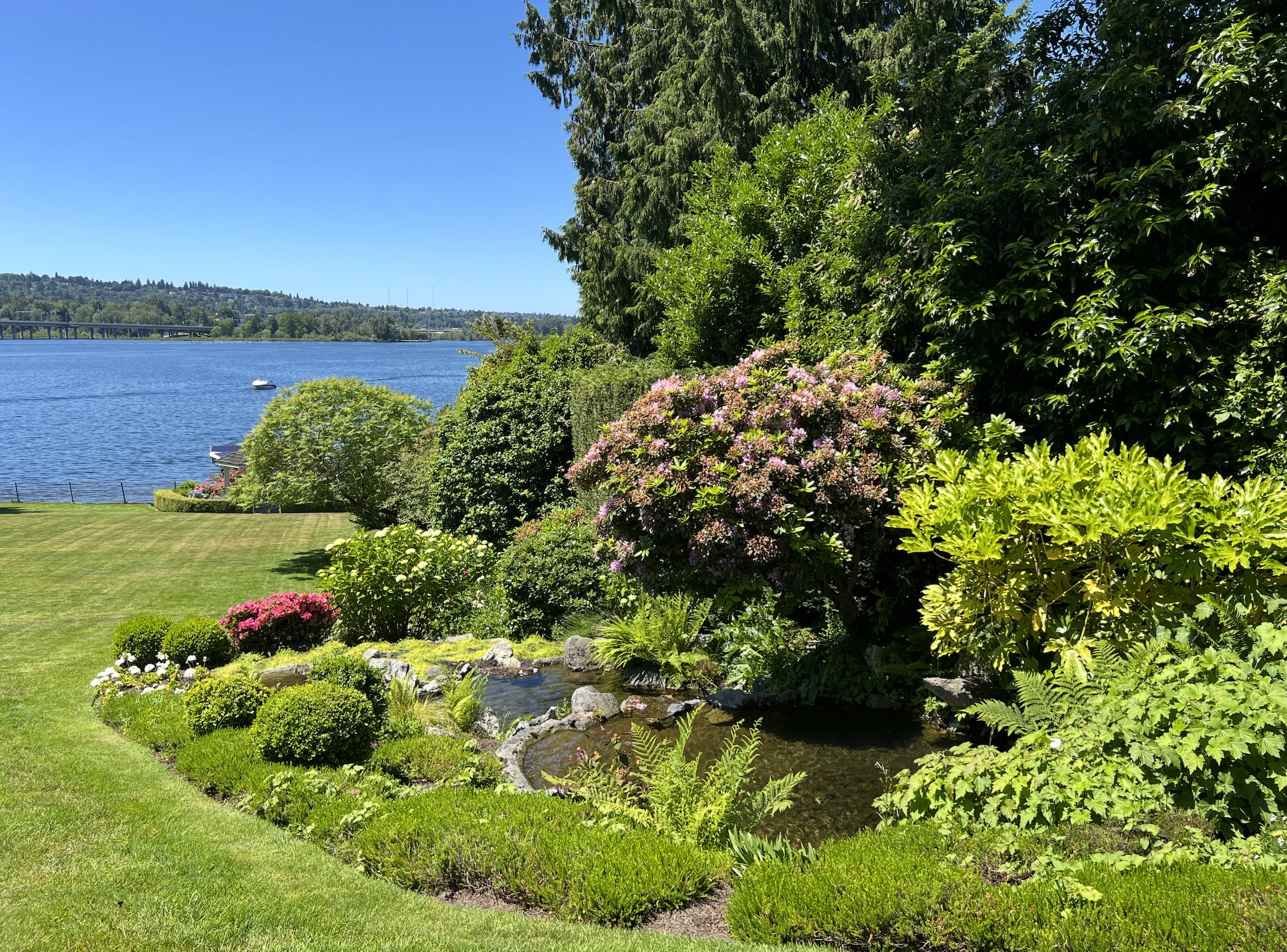 Yard Services Near Me