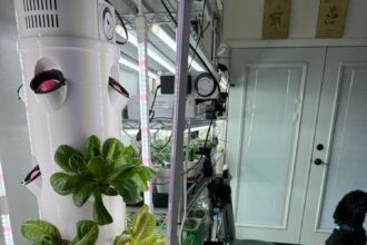 grow tower