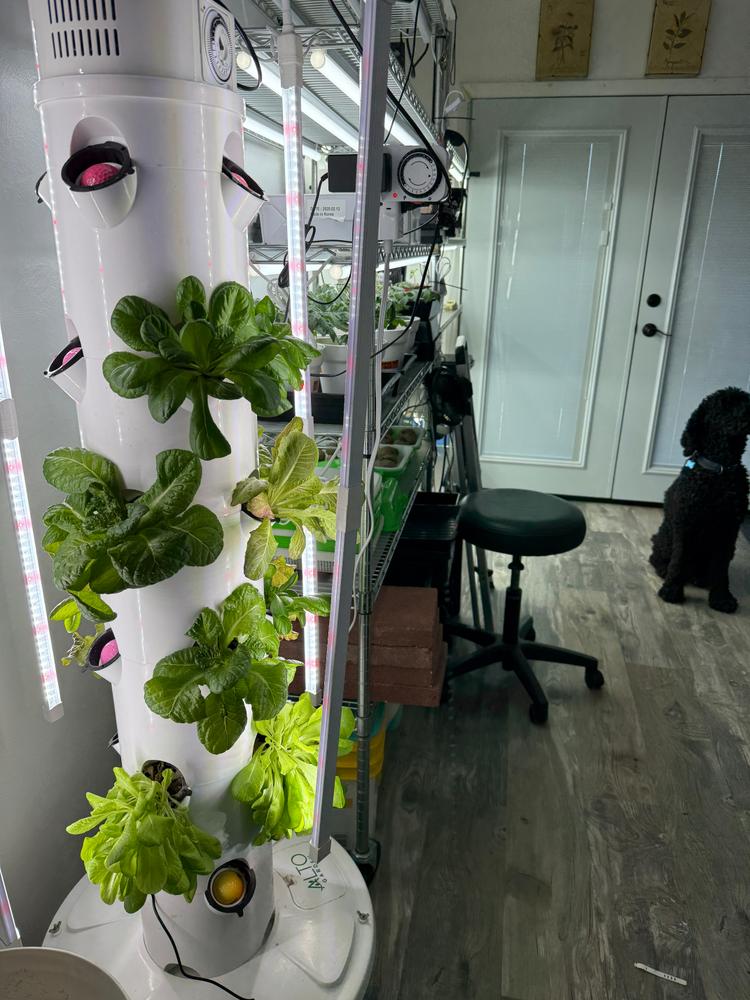 grow tower